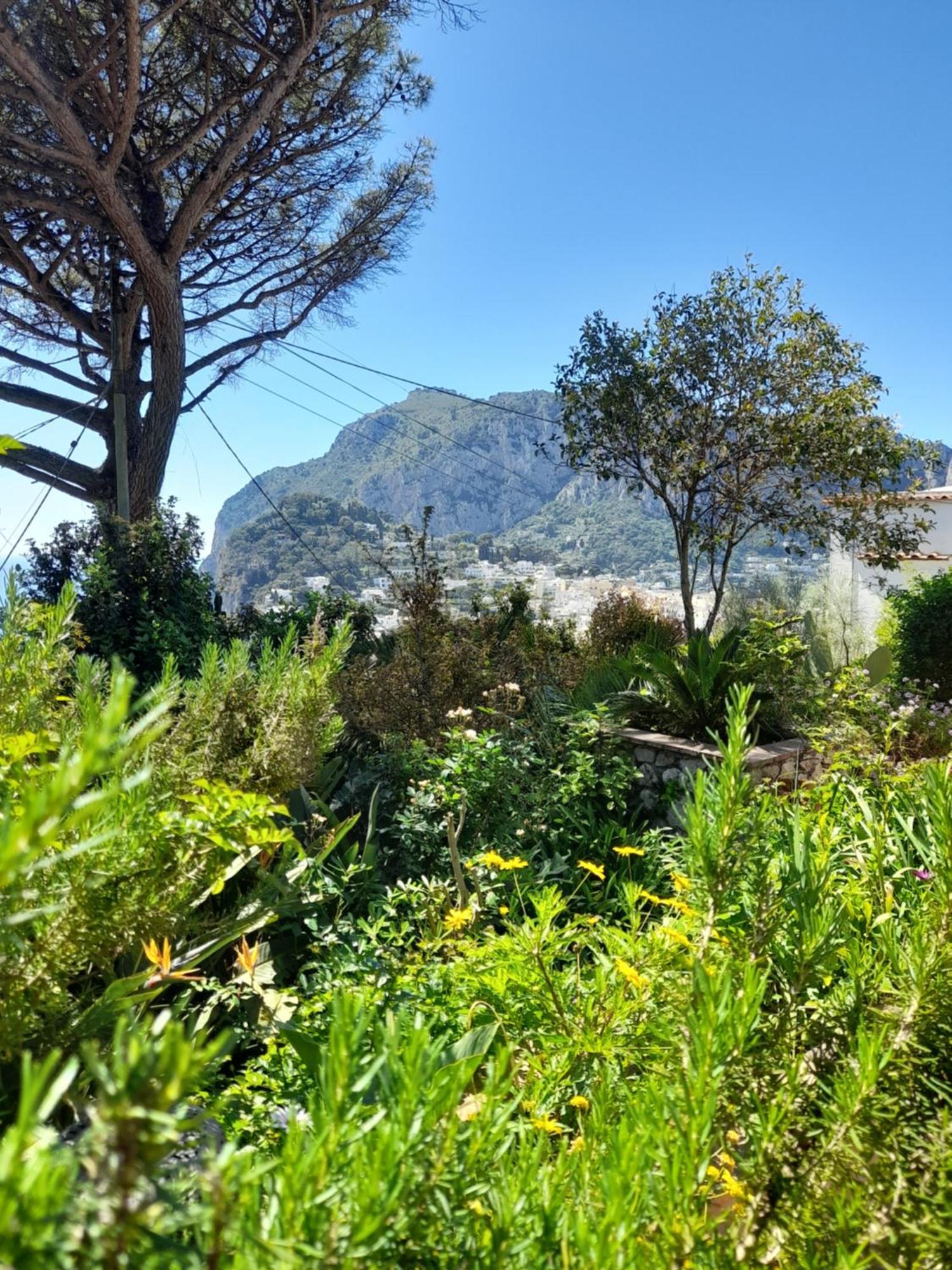 Villetta Rosetta Capri Exteriör bild