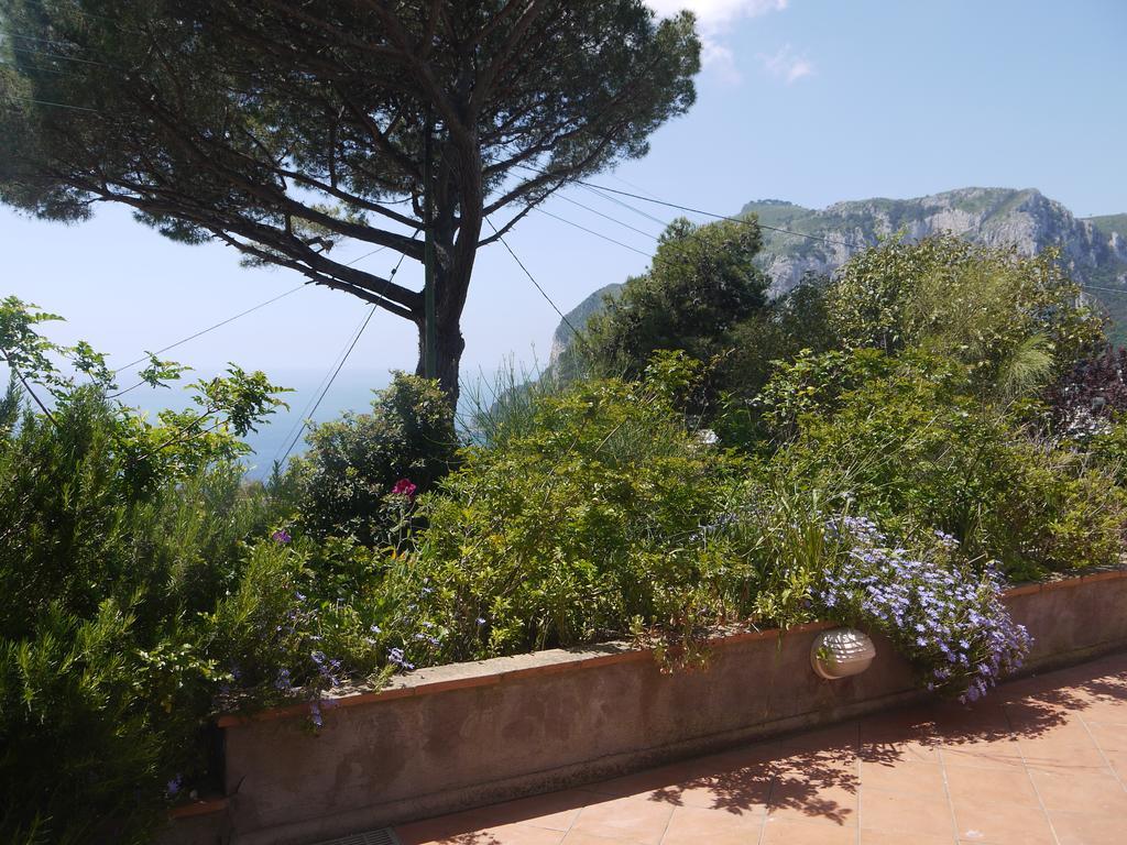 Villetta Rosetta Capri Exteriör bild
