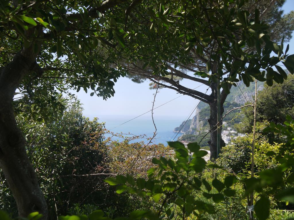 Villetta Rosetta Capri Exteriör bild
